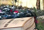 Чиновницу отправят под суд за выброшенную помощь погорельцам