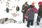 Лавина в Косово на юге Сербии убила семь человек
