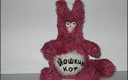 В Йошкар-Оле появился Йошкин кот