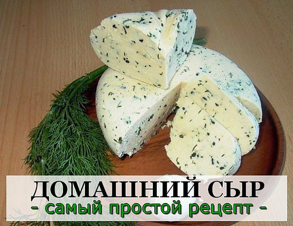 Рецепт сыра в домашних условиях пошагово Рецепт сыра в домашних условиях пошагово