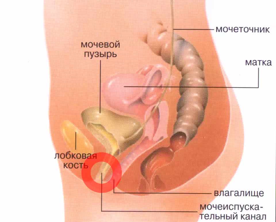 Как лечить при головокружение когда встаешь Как лечить при головокружение когда встаешь
