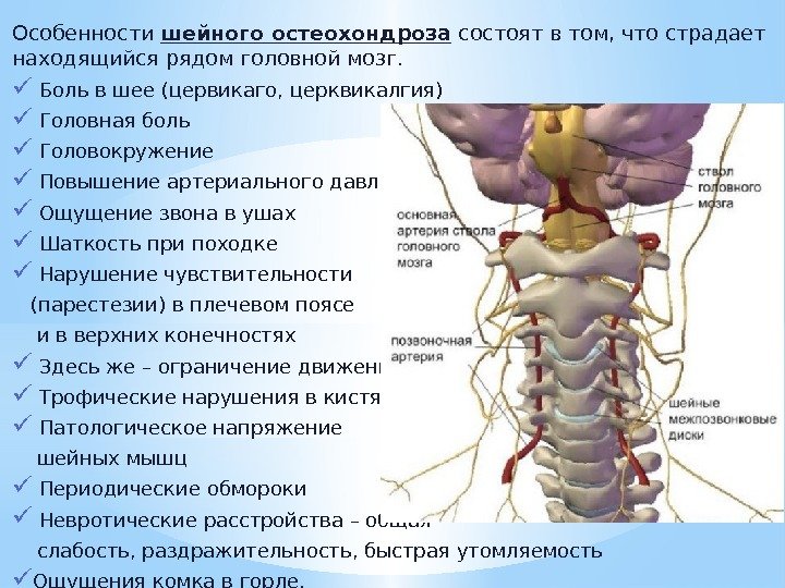 Если болит голова из за шейного остеохондроза Если болит голова из за шейного остеохондроза