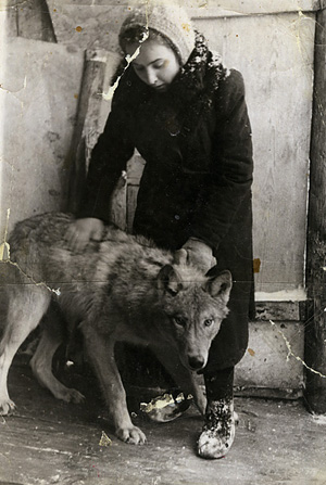 Помимо кошек в жизни Мамлеевых были и более экзотические животные, например волчица
