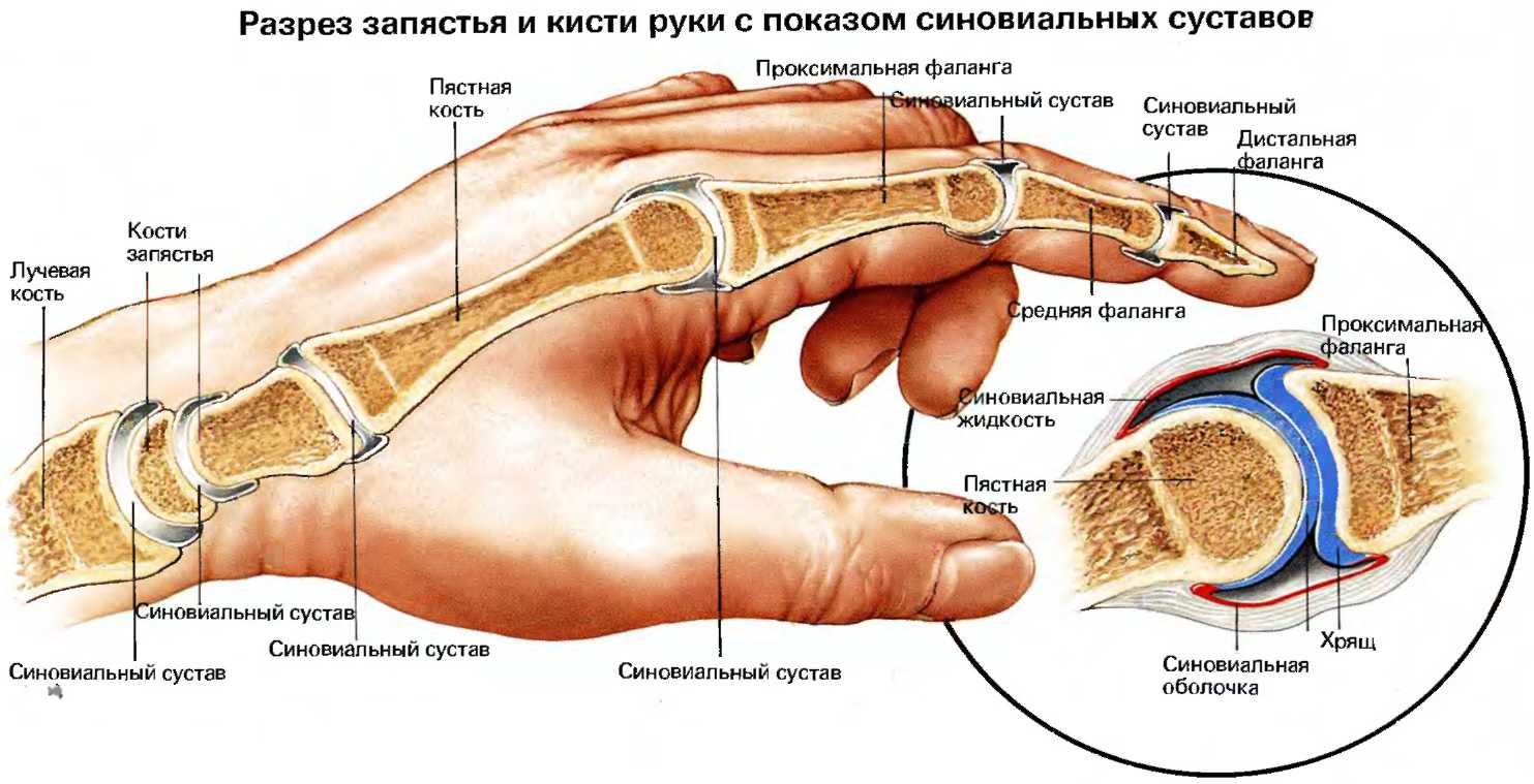 Почему болит сустав указательного пальца на руке Почему болит сустав указательного пальца на руке