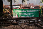 Остатки Химкинского леса обсудят в Общественной палате