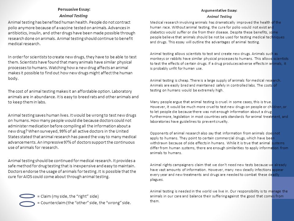 Essay Writing Examples For High School Examples Of A Thesis Statement In An Essay also Essay About Healthy Food Buy Argument Essay On Animal Testing Essay For Science