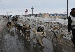 Надежда 2021 Чукотка