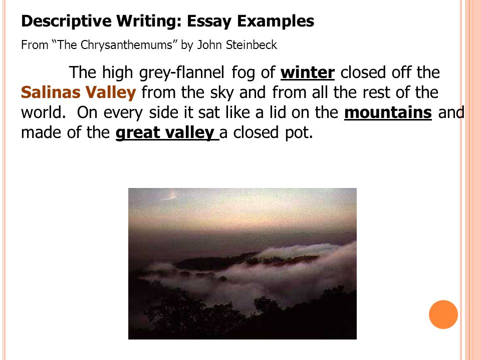 Descriptive Nature Essay Descriptive Essay Nature Brings Inspiration Online Writing Jobs also Essay Writing Scholarships For High School Students Friendship Essay In English