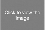View hentai video's online Free mature amateur clips