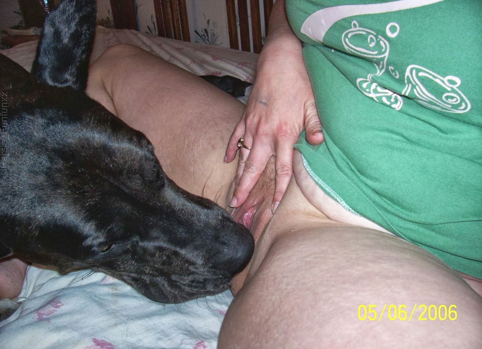 порно пес с бабой фото 107