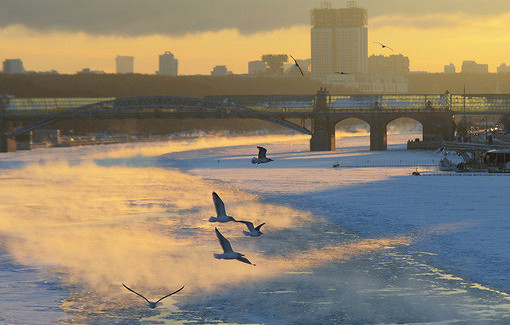 Вильфанд: в ближайшие дни в Москве будет холоднее, чем на Чукотке