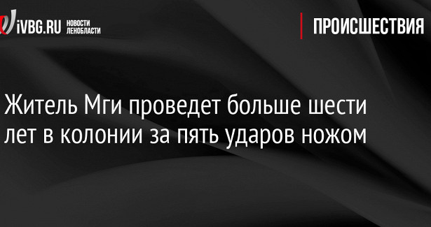 Житель Мги проведет больше шести лет в колонии за пять ударов ножом
