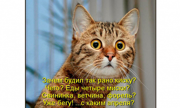 1 апреля: самые смешные мемы на день смеха