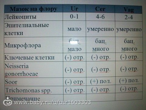 Анализ мазка по гинекологии норма