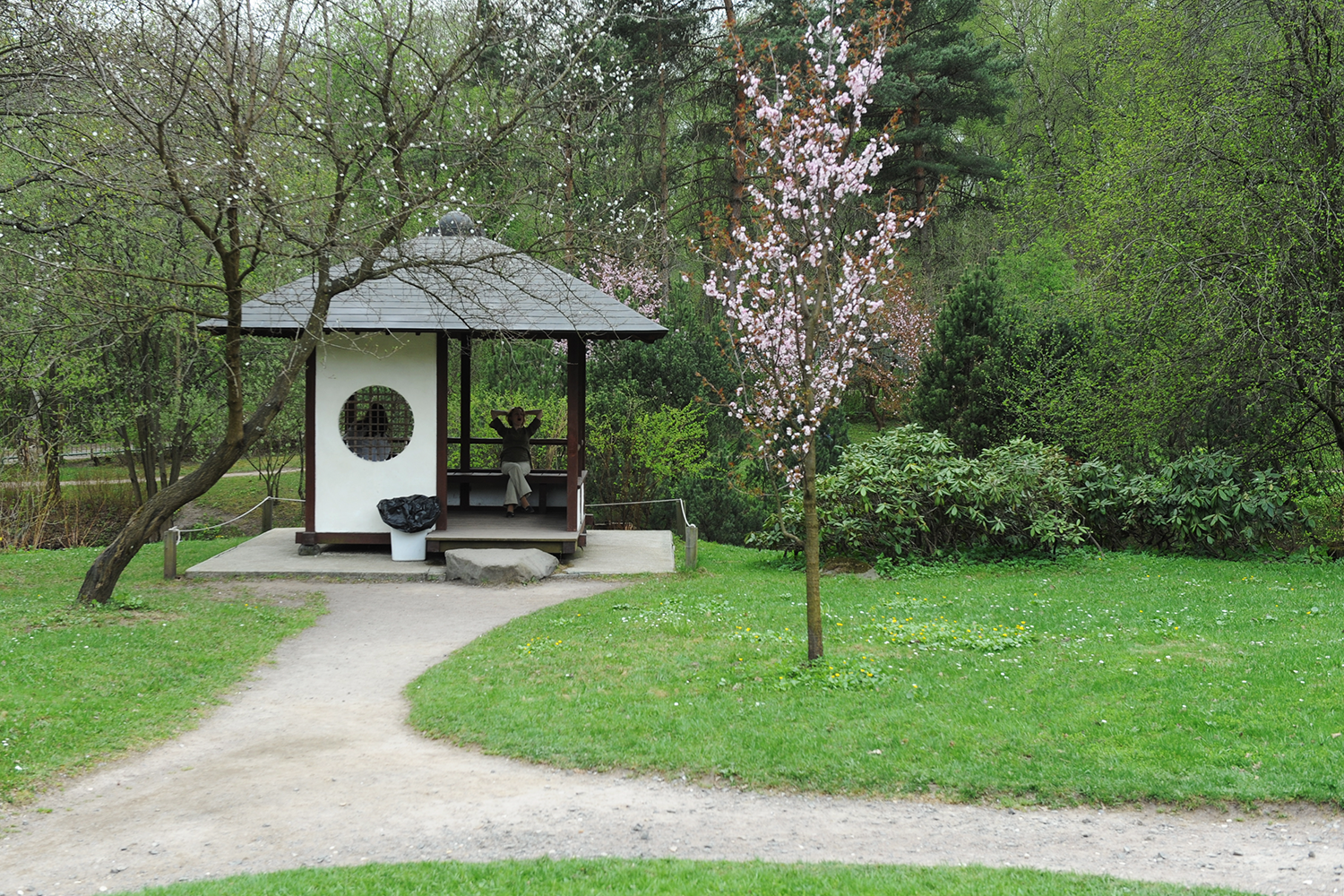 Фото японский сад в ботаническом саду фото