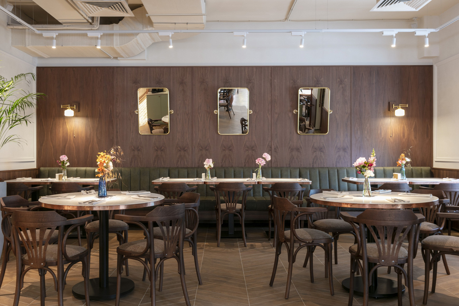 Фото ресторана от Афиши — Brasserie 2.0