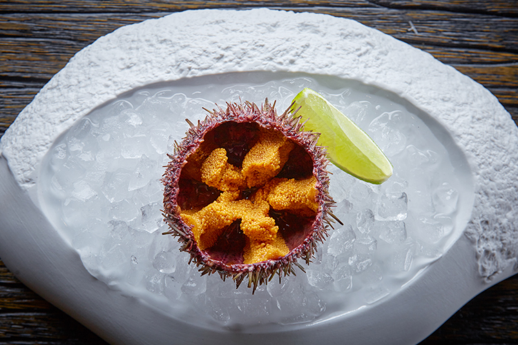 Uning siyayotgani porno video