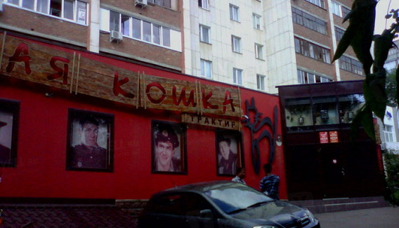 Черная кошка