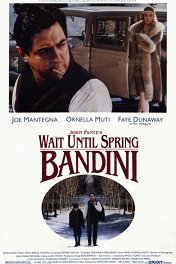 Жди до весны, Бандини / Wait Until Spring, Bandini