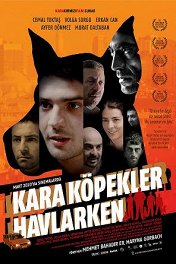 Лай черных псов / Kara köpekler havlarken