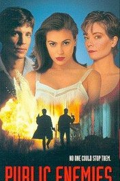 Враг номер один / Public Enemies