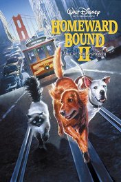 Долгая дорога домой-2: Потерянные в Сан-Франциско / Homeward Bound II: Lost in San Francisco