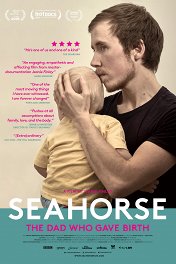 Морской конек / Seahorse