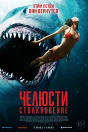 Челюсти: Столкновение / Shark Bait