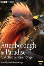 Аттенборо в раю / Attenborough in Paradise