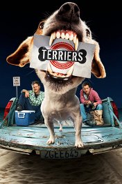 Терьеры / Terriers