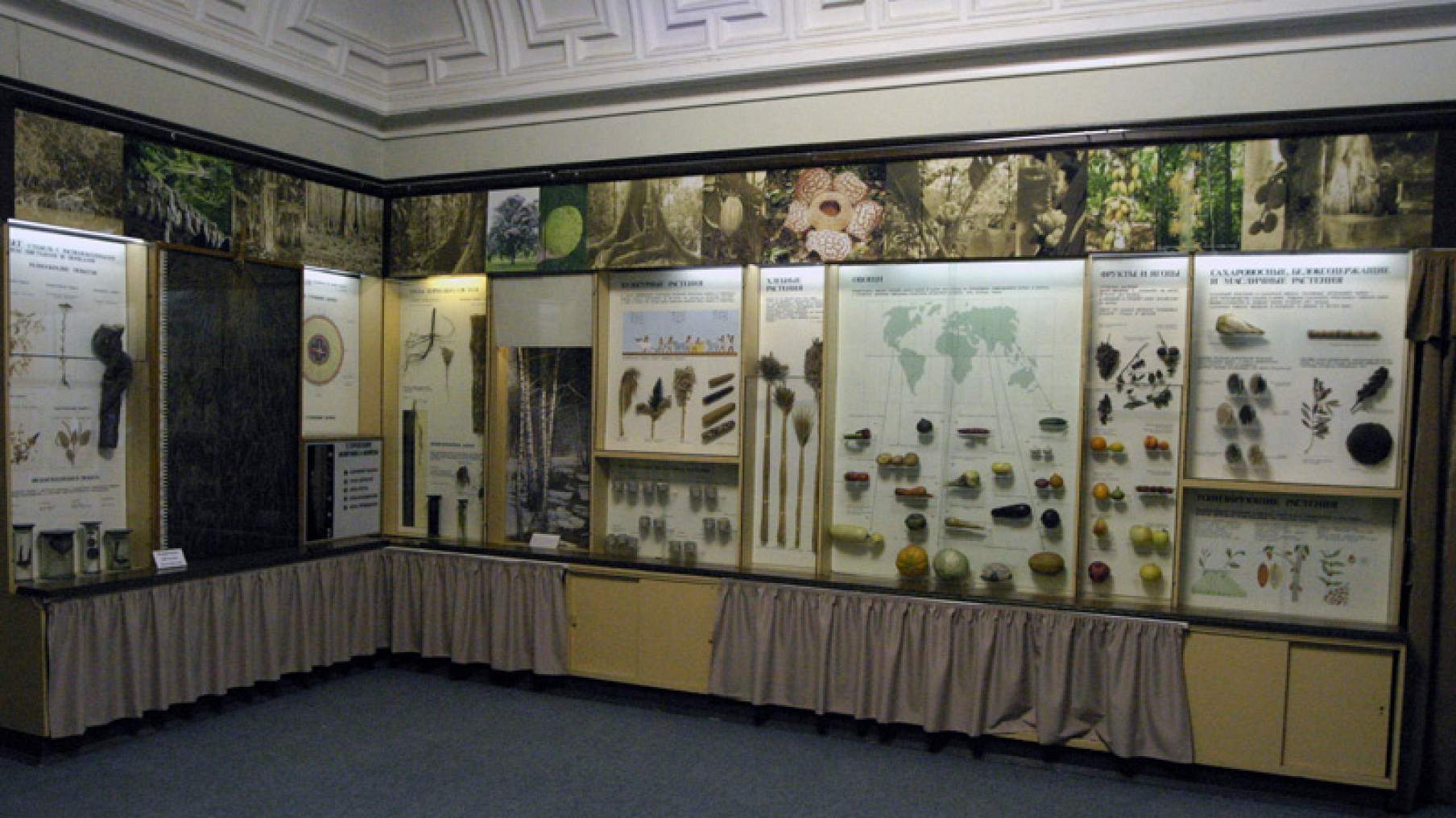 биологический музей экспонаты