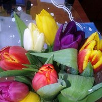 Фото Алина Дьяченко