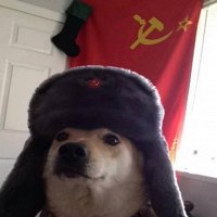 Фото Дмитрий Гуляев