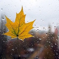 Фото Анастасия Никитина