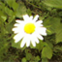 Триллер предчувствие о чем. 233627. Триллер предчувствие о чем фото. Триллер предчувствие о чем-233627. картинка Триллер предчувствие о чем. картинка 233627. «Предчувствие» — мистическая драма. И не просто драма, а с призывом в очередной раз поразмыслить о жизненных ценностях. Триллер предчувствие о чем. 233627. Триллер предчувствие о чем фото. Триллер предчувствие о чем-233627. картинка Триллер предчувствие о чем. картинка 233627. «Предчувствие» — мистическая драма. И не просто драма, а с призывом в очередной раз поразмыслить о жизненных ценностях.