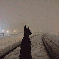 Фото Татьяна Егорова