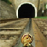 Фото пользователя