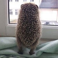 Фото Михаил Саахов