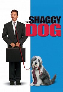 Лохматый папа