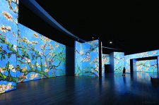 Van Gogh Alive – афиша