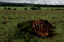 Динокрок против динозавра – афиша