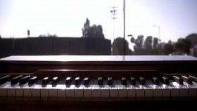 Цветы и кровь / Blossoms & Blood
