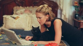 Сабрина — маленькая ведьма / Sabrina, the Teenage Witch