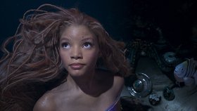 Русалочка / The Little Mermaid