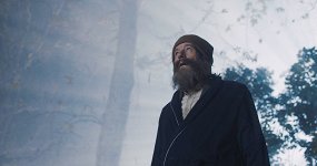 Во всем виноват енот
