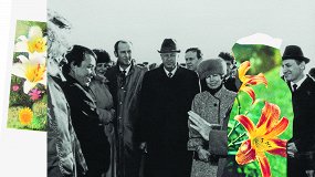 Агентство сингулярных исследований: Flower Power. Архив