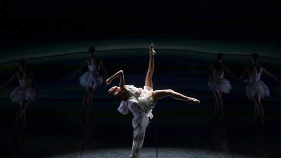 Лебединое озеро / Swan Lake