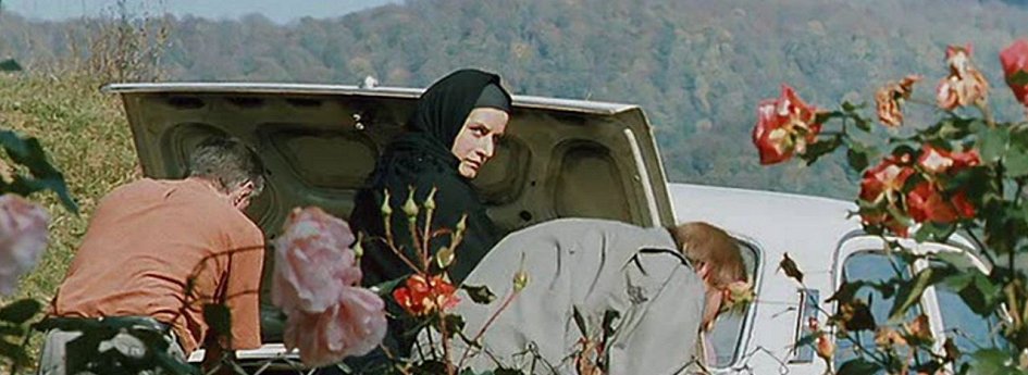 Кино: «Время танцора» Кино: «Время танцора»