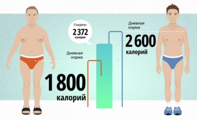 Расчет калорий для похудения (суточной нормы)