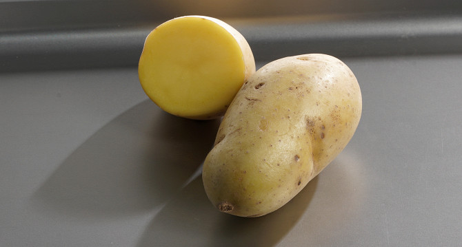 Желтая Картошка Сорта Названия И Фото